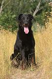 BEAUCERON 059